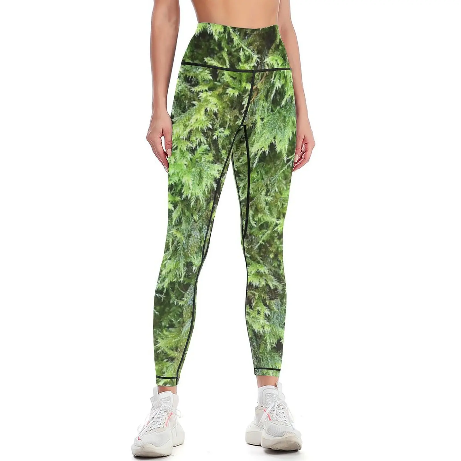 Fotografía de musgo 1 Leggings - Photography Yoga reseña y precio