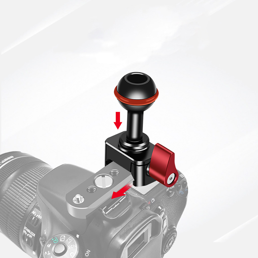 Soporte de liberación rápida p - Camera Cold Shoe reseña y precio